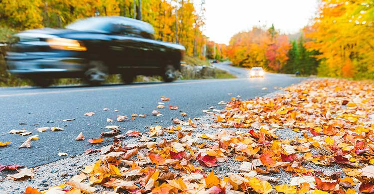 une voiture sur une route de campagne